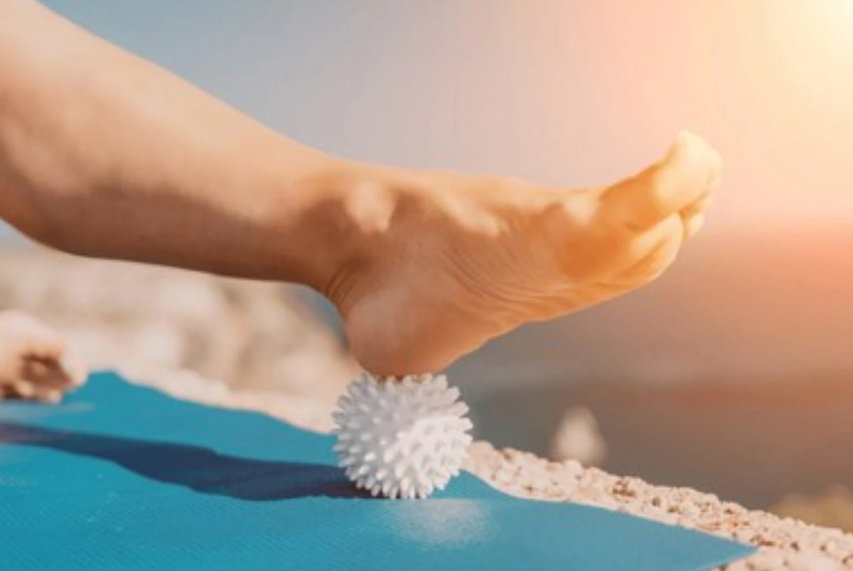 TFL Introduces Revolutionary Massage Tennis Ball for Ultimate Relaxati