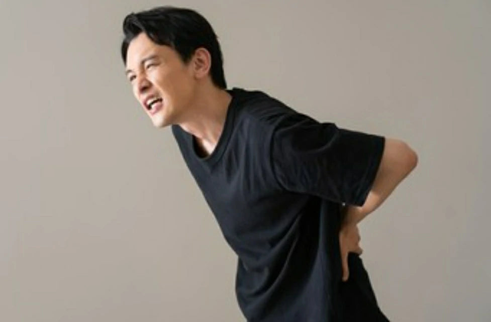 Quadratus Lumborum Massage Ball FitBeast