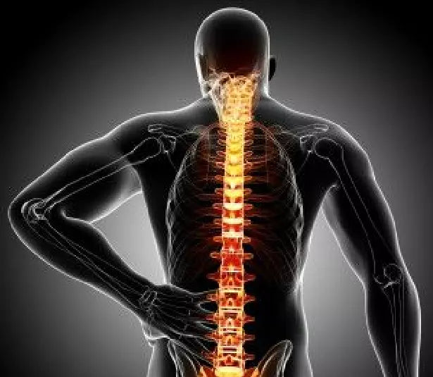 How to Crack Lower Back with Foam Roller FitBeast