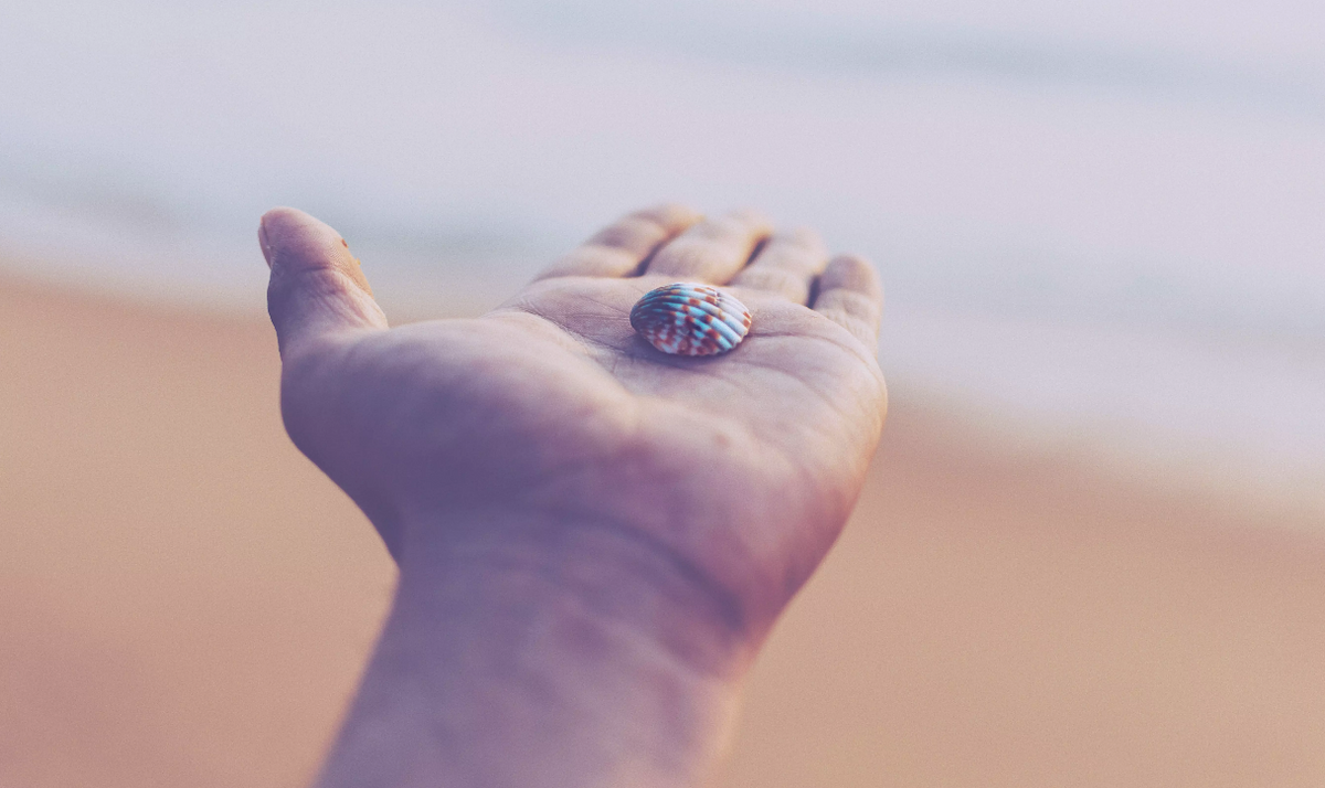 How to Use Grip Strengthener for Forearms FitBeast