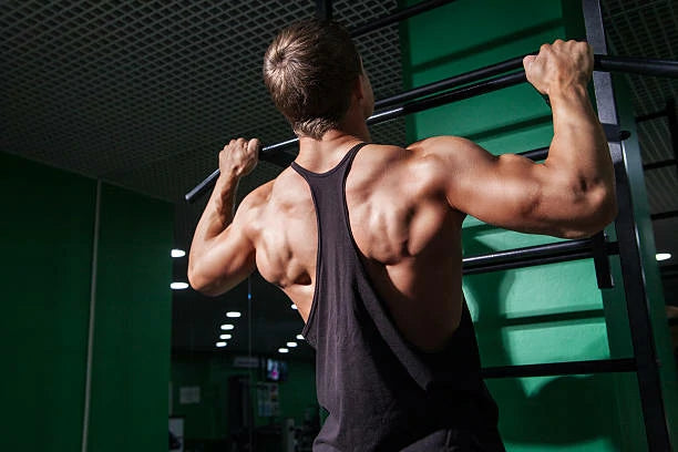 "Why Can't I Do Pull-Ups?" – An Expert Exploration Toward Achieving Upper Body Strength