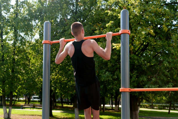 https://fitbeastclub.com/collections/pull-up-bar
