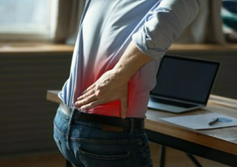 Back Adjustment Foam Roller FitBeast