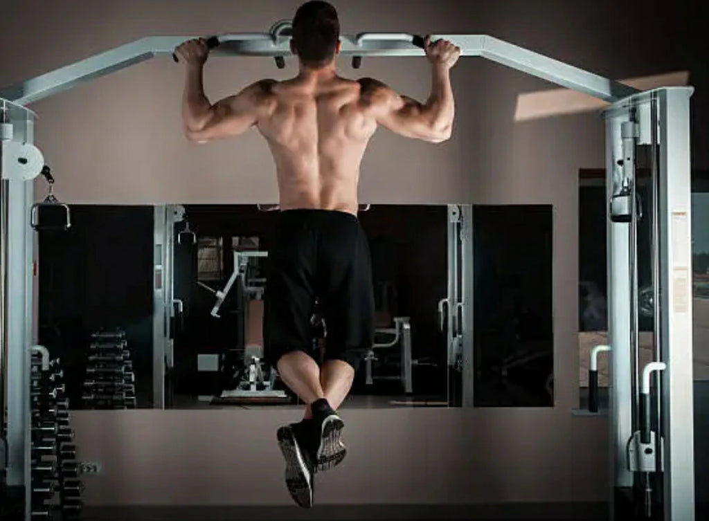 what muscles are involved in pull ups