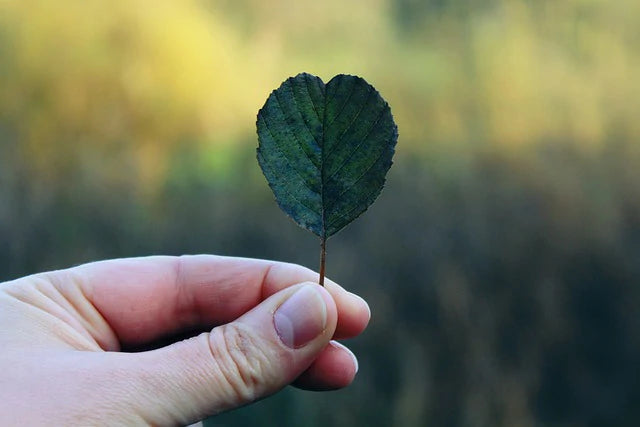 DISLOCATED FINGER TREATMENT EXERCISES: SPEED UP RECOVERY WITH EFFECTIVE REHABILITATION