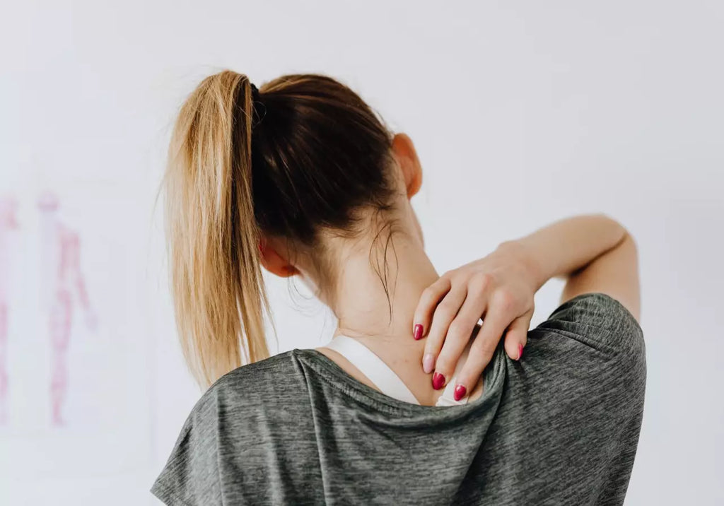 chiropractic back roller table