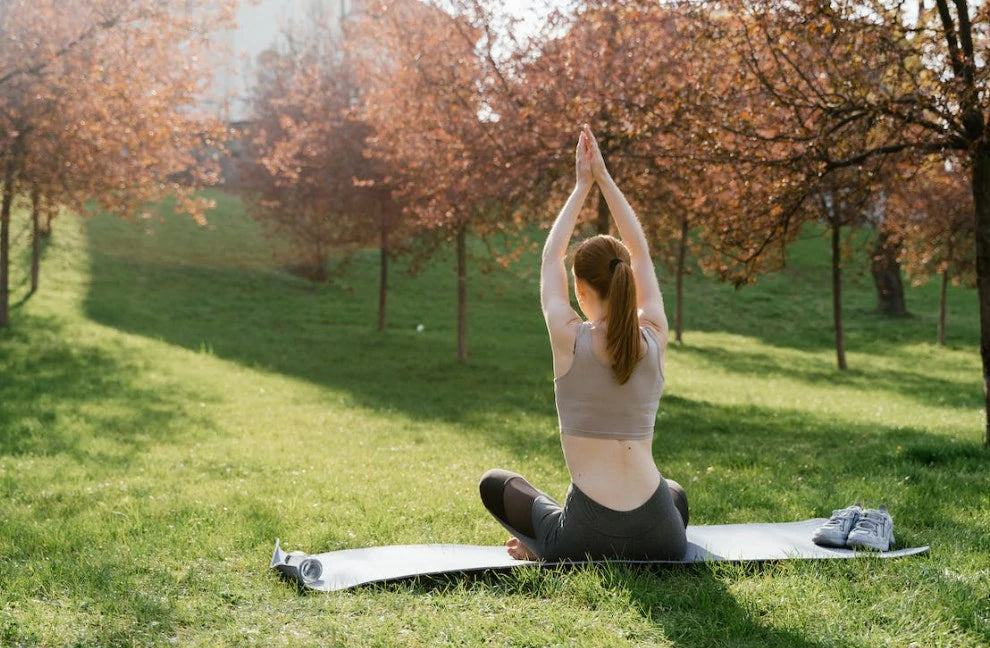 SelfMassage Lower Back Tennis Ball FitBeast