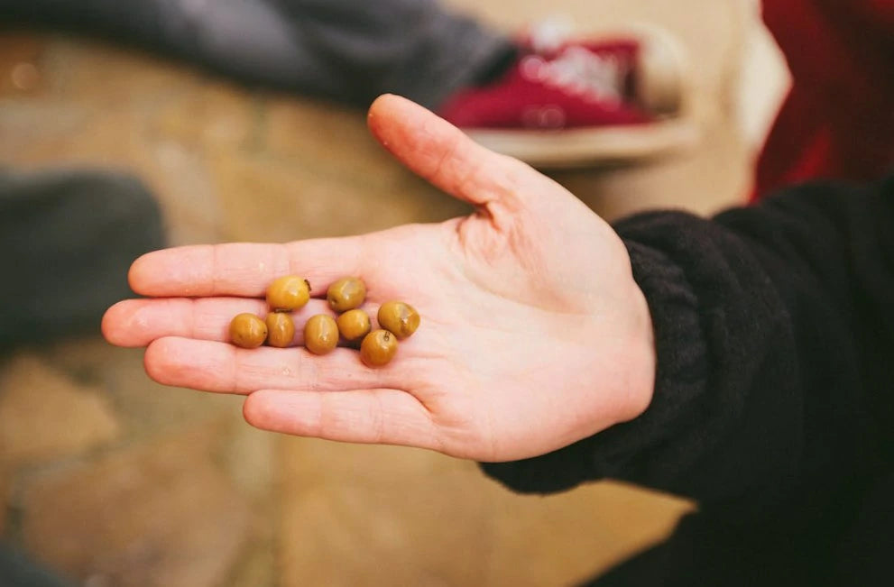 Finger Strength Exercises at Home for Climbing