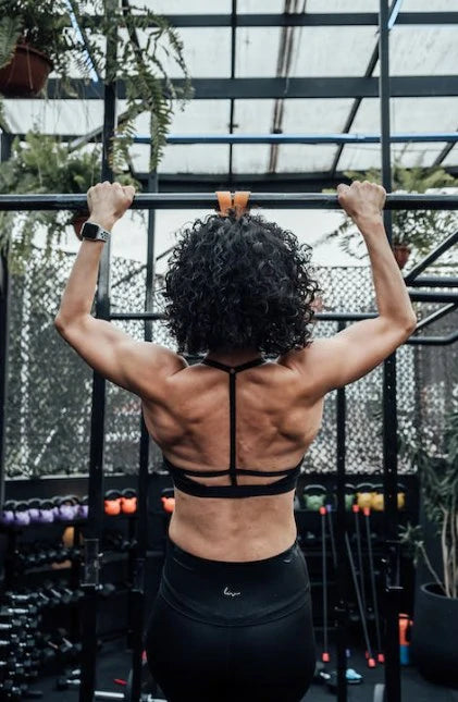 Weighted Pull-Ups Every Day